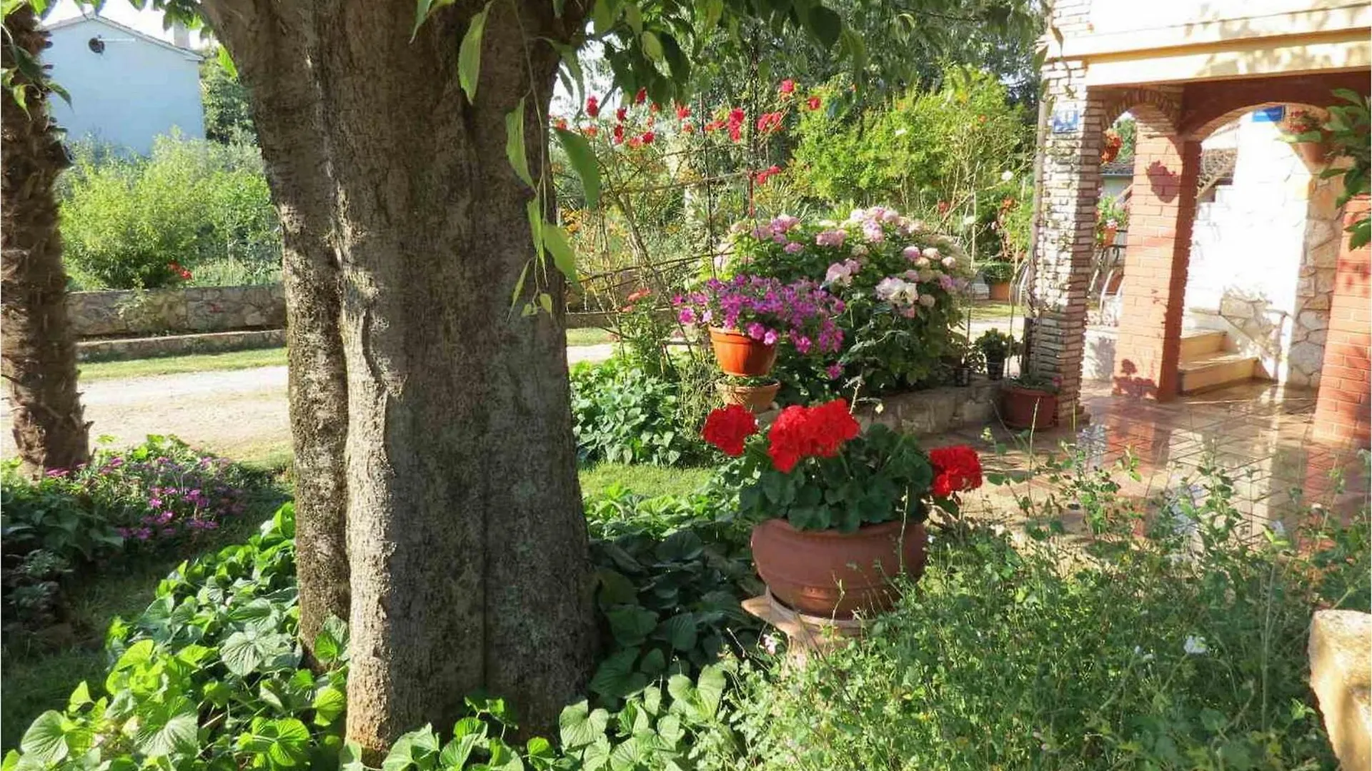 דירות Rosini Mariza